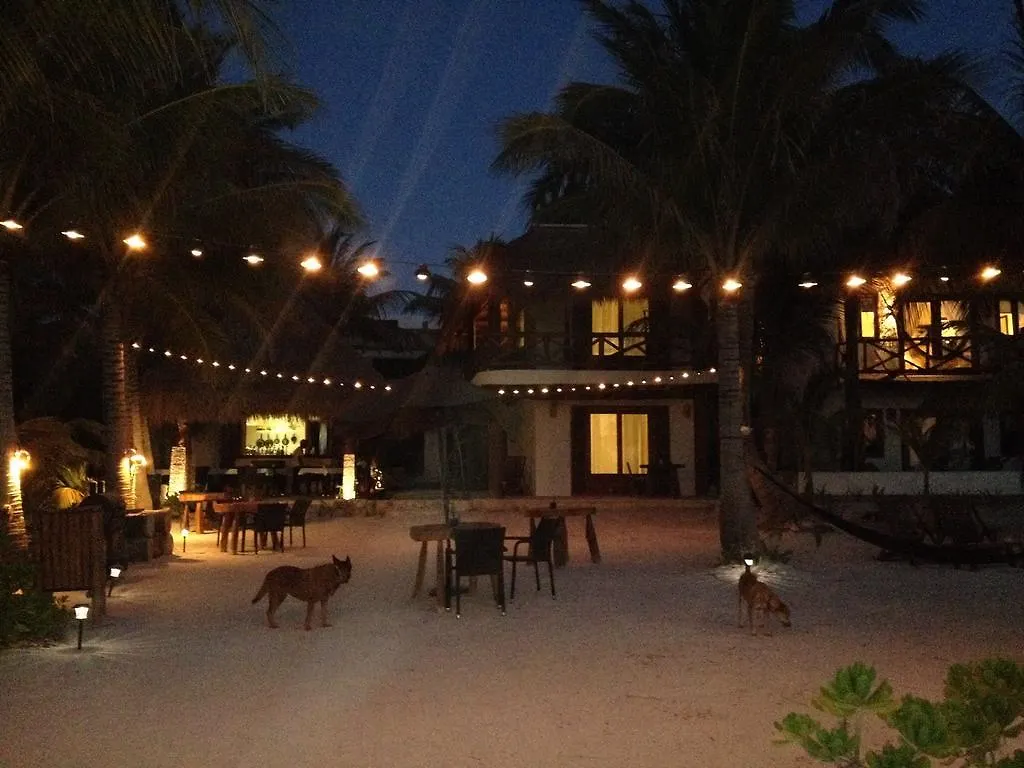 Casa Iguana Holbox - Beachfront Hotel 3*, Остров Холбокс Мексика