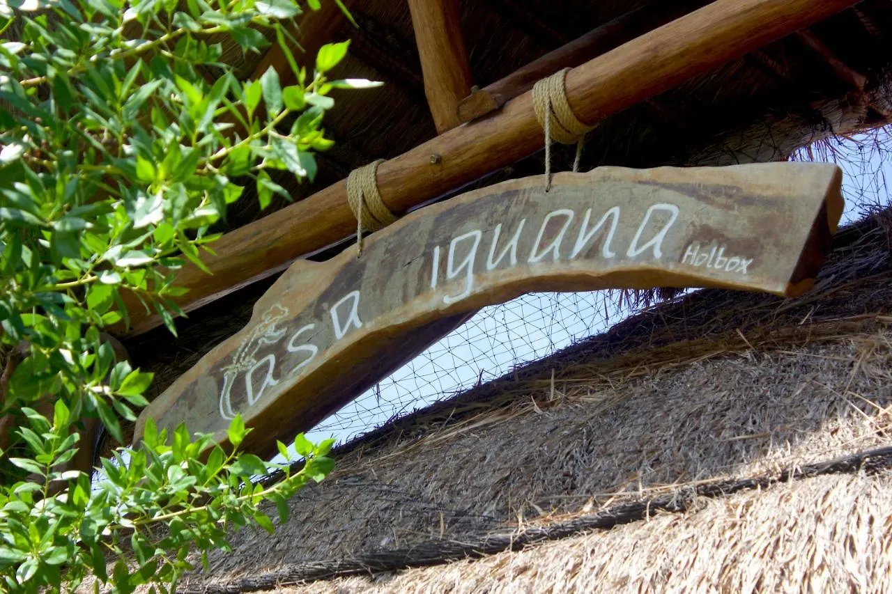 Casa Iguana Holbox - Beachfront Hotel