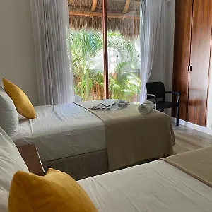 Pelicano Isola Holbox